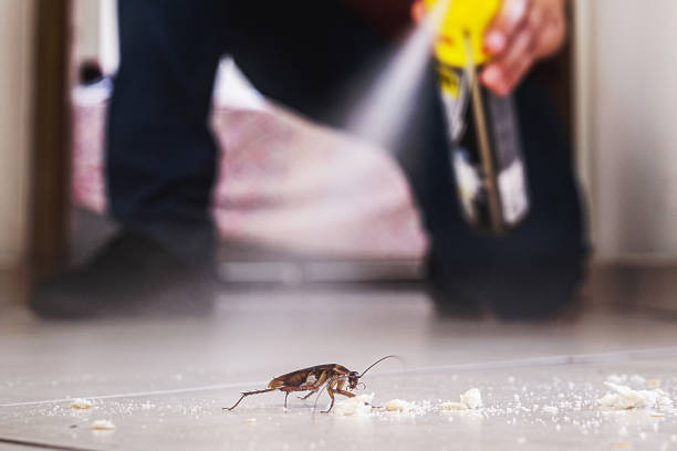 Best Emergency Pest Control  in Camano, WA